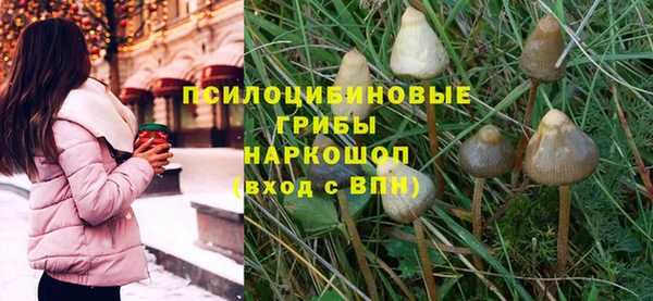 не бодяженный Алзамай